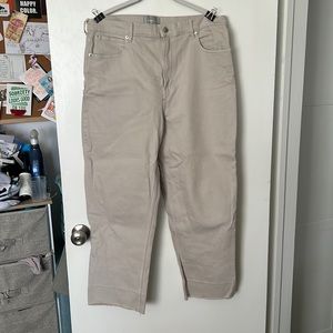 Everlane Way High Jean in Flax